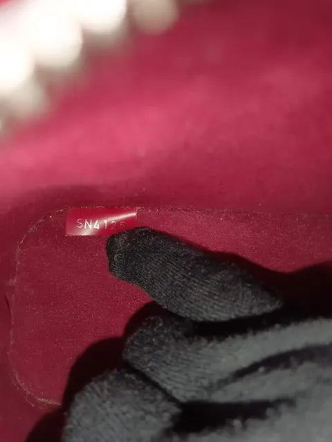 LOUIS VUITTON Epi Alma Nano