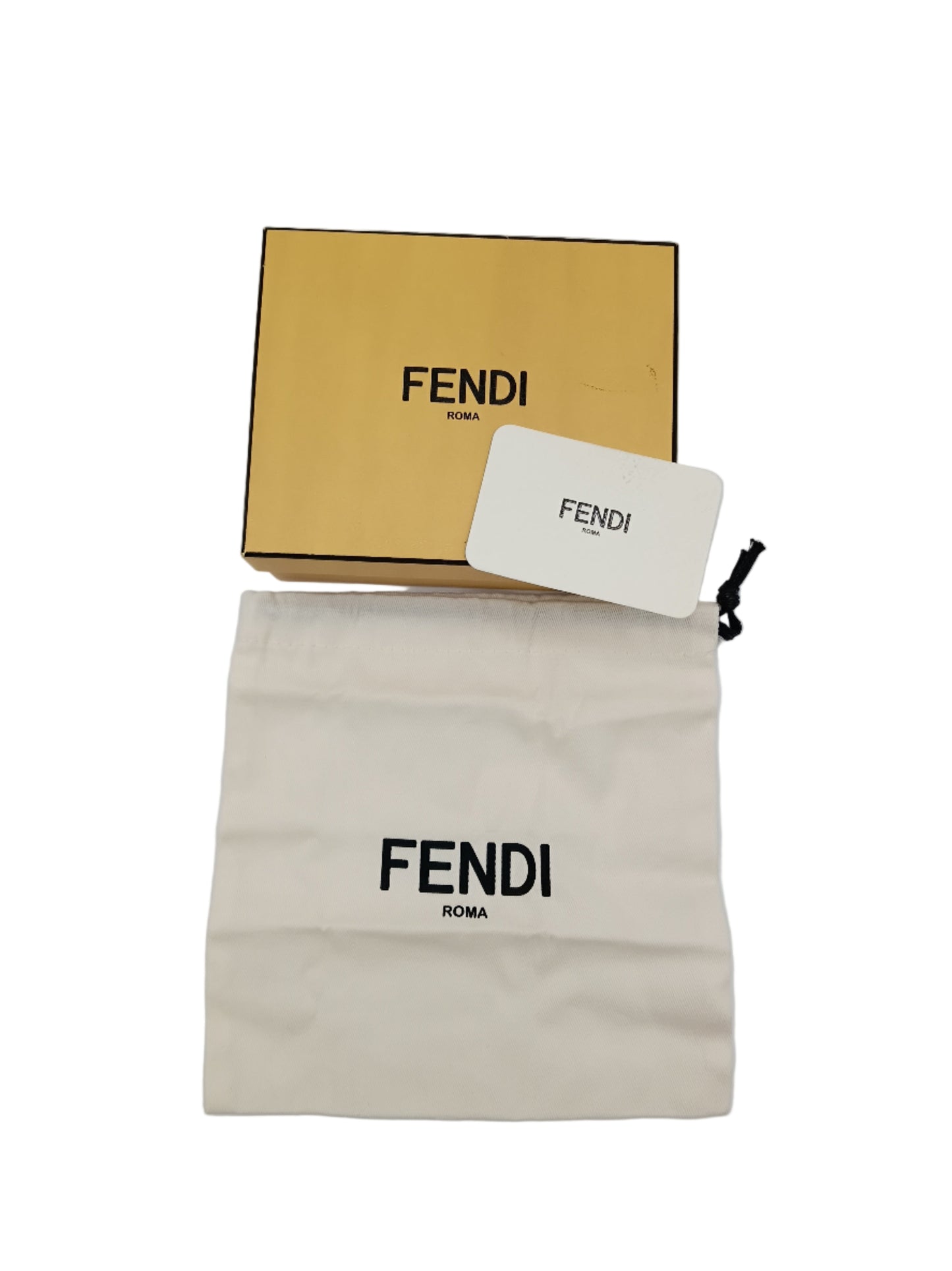 FENDI Diagonal Camera Bag