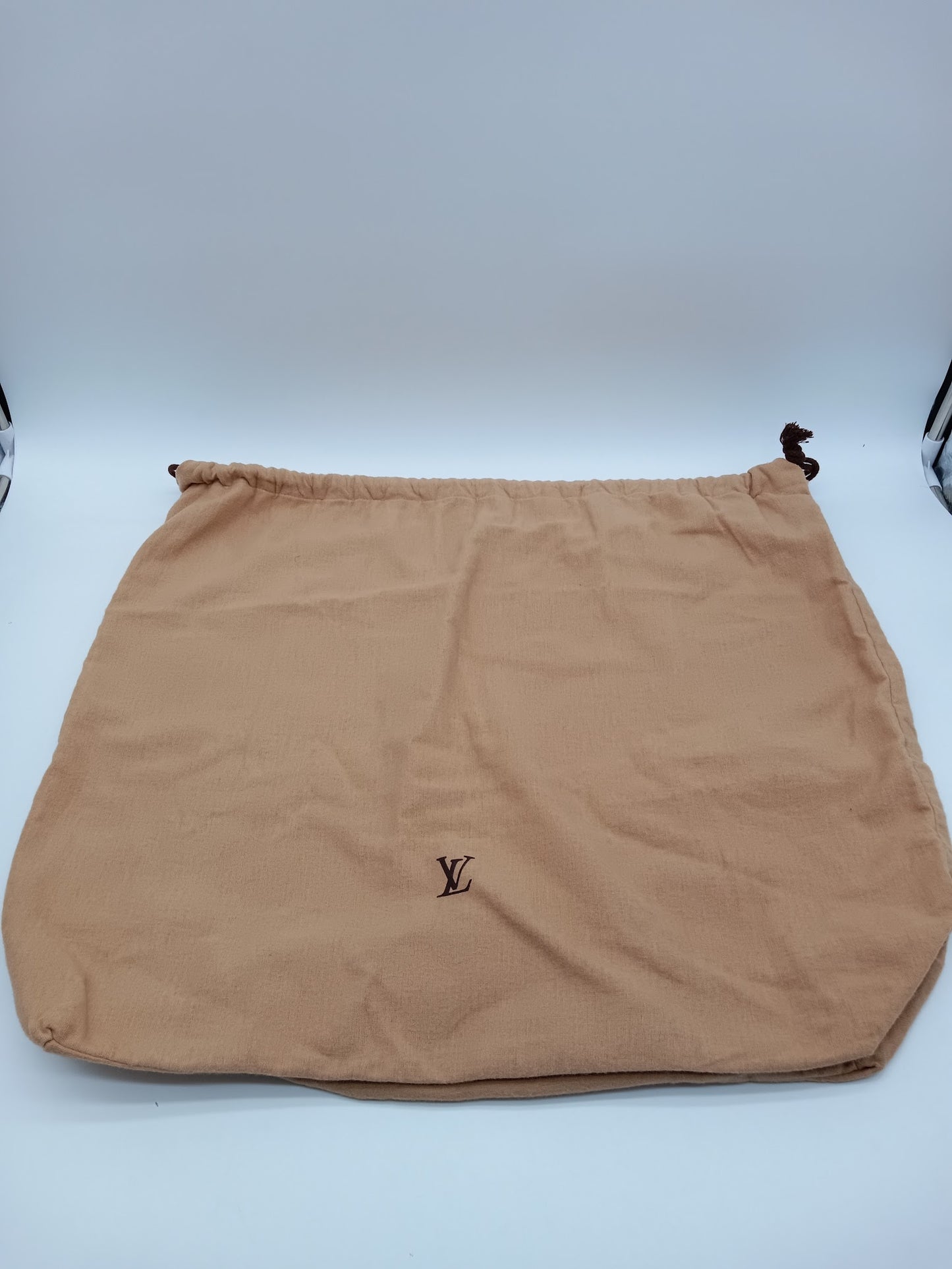 LOUIS VUITTON OTG By The Pool GM