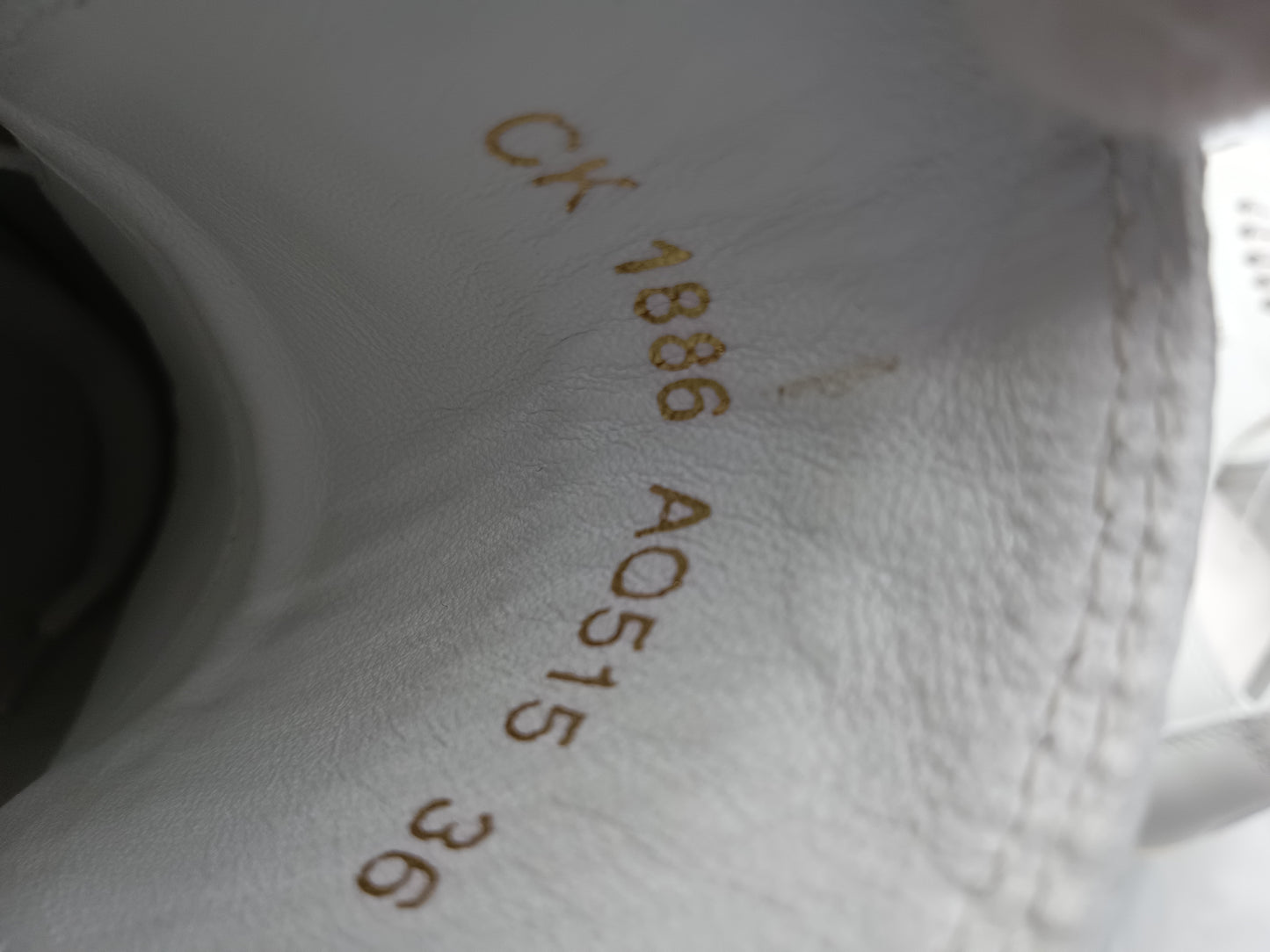 DOLCE & GABBANA White & Gold Shoes