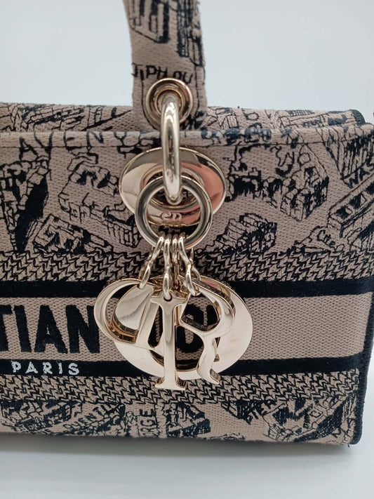 DIOR Lady D-Joy Plan De Paris
