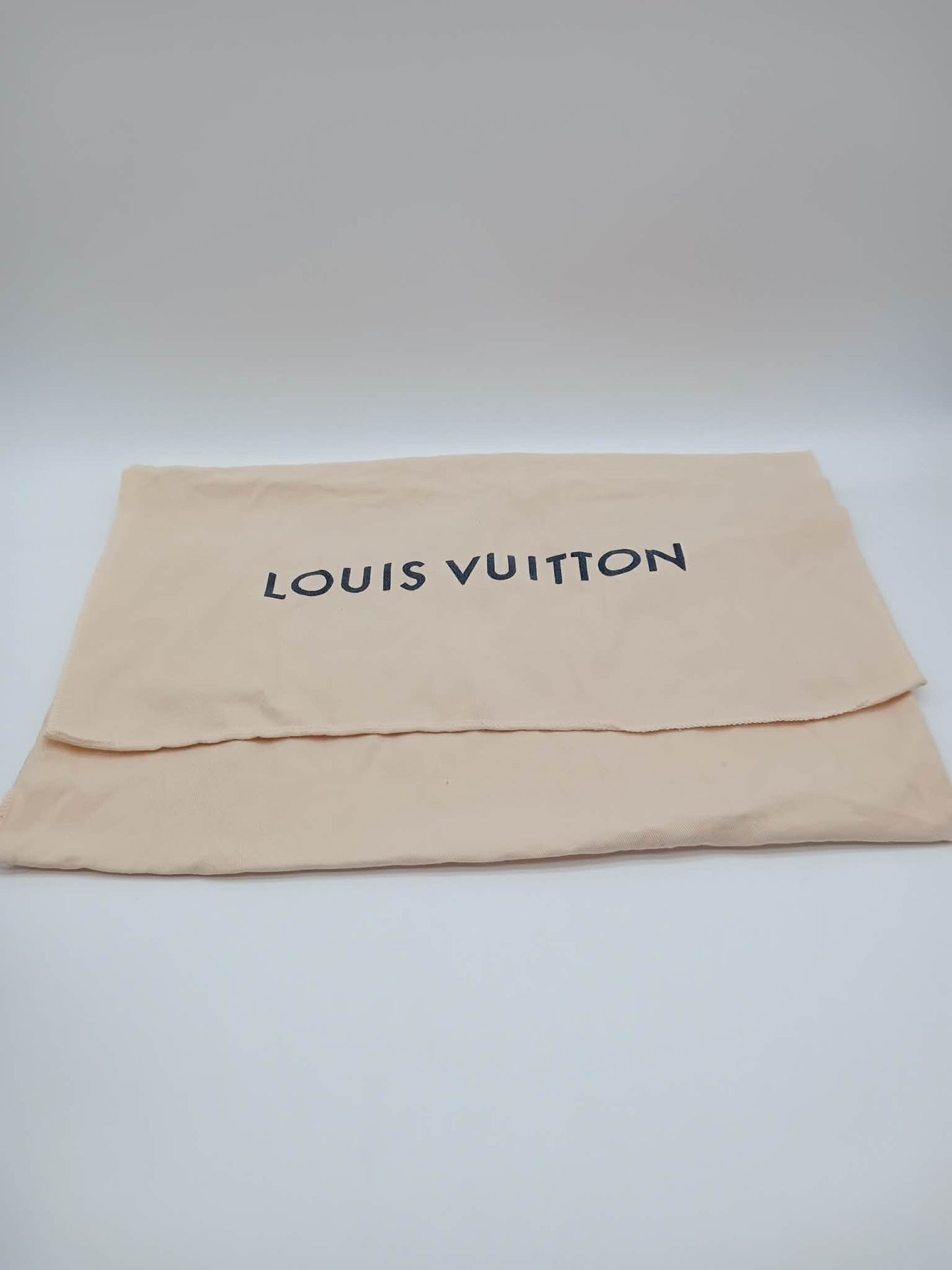 LOUIS VUITTON Damier Clapton Backpack