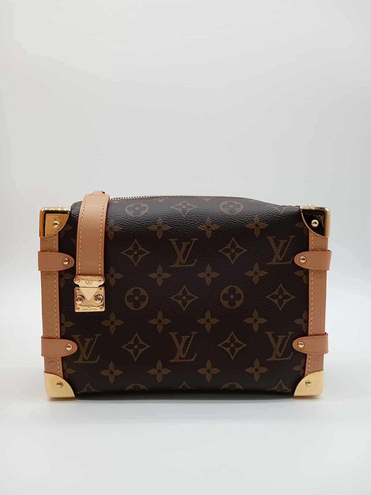 LOUIS VUITTON Side Trunk MM
