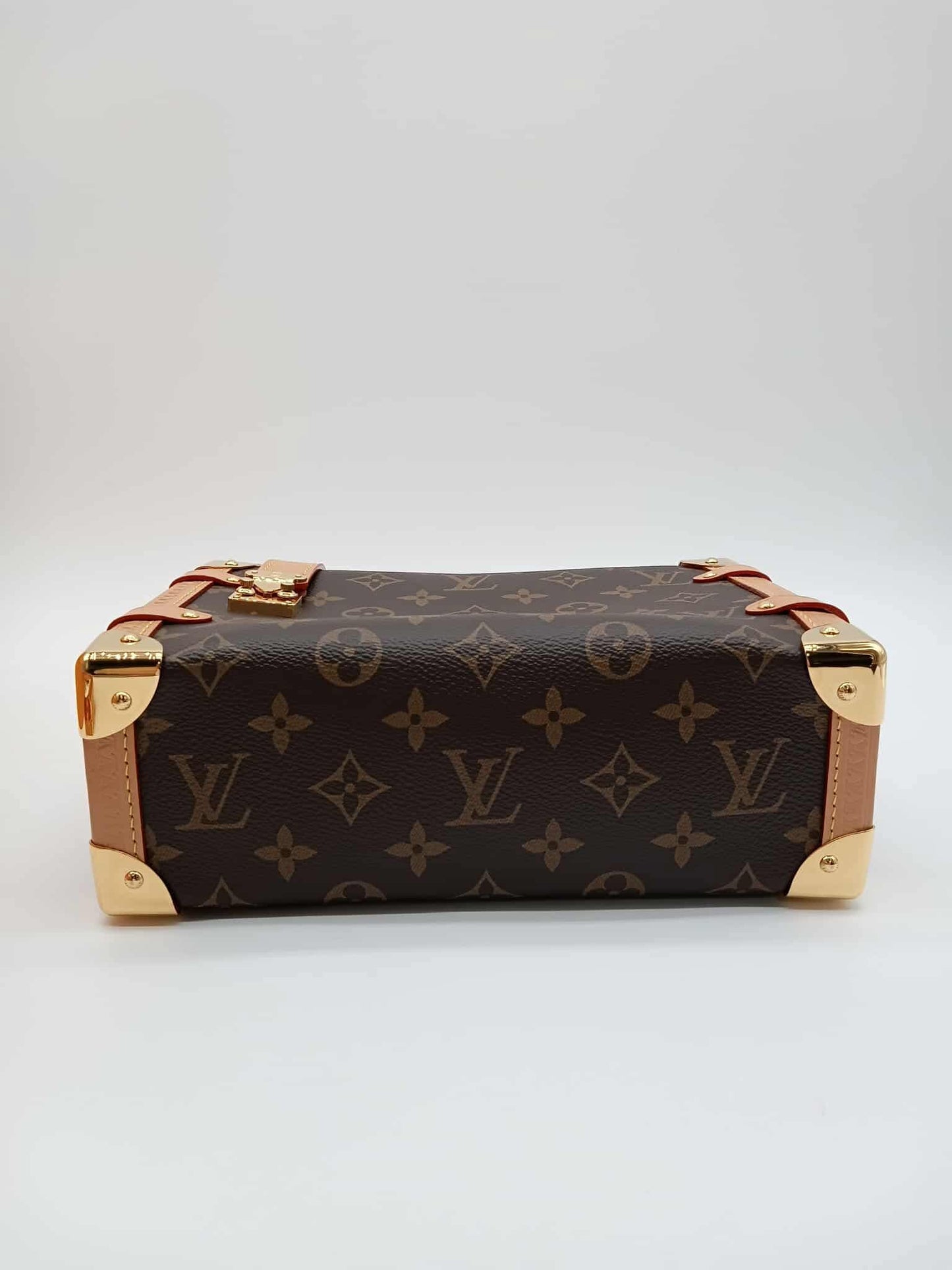 LOUIS VUITTON Side Trunk MM