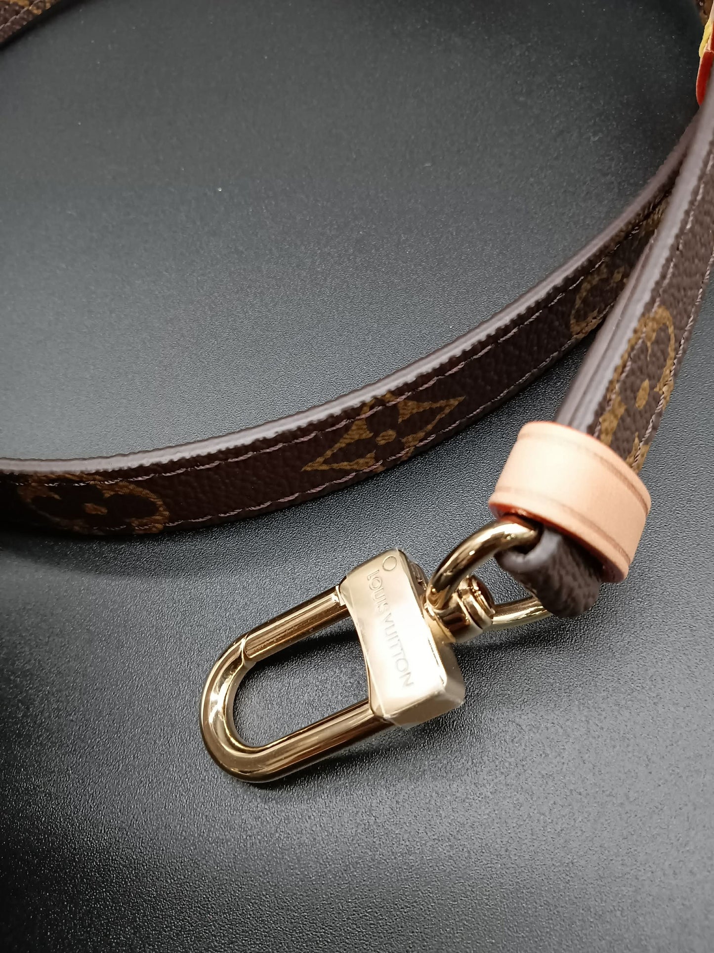 LOUIS VUITTON Monogram Strap