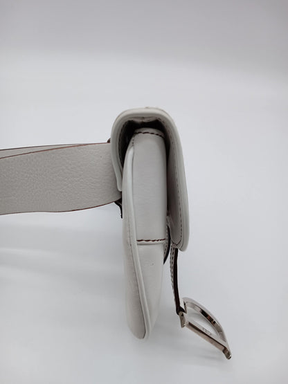 DIOR Saddle Waist Bag