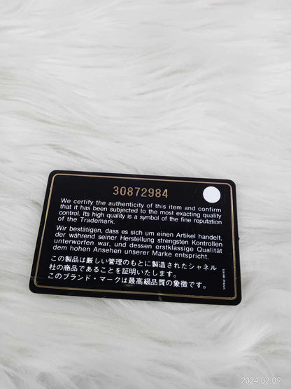CHANEL Caviar Zippy Wallet