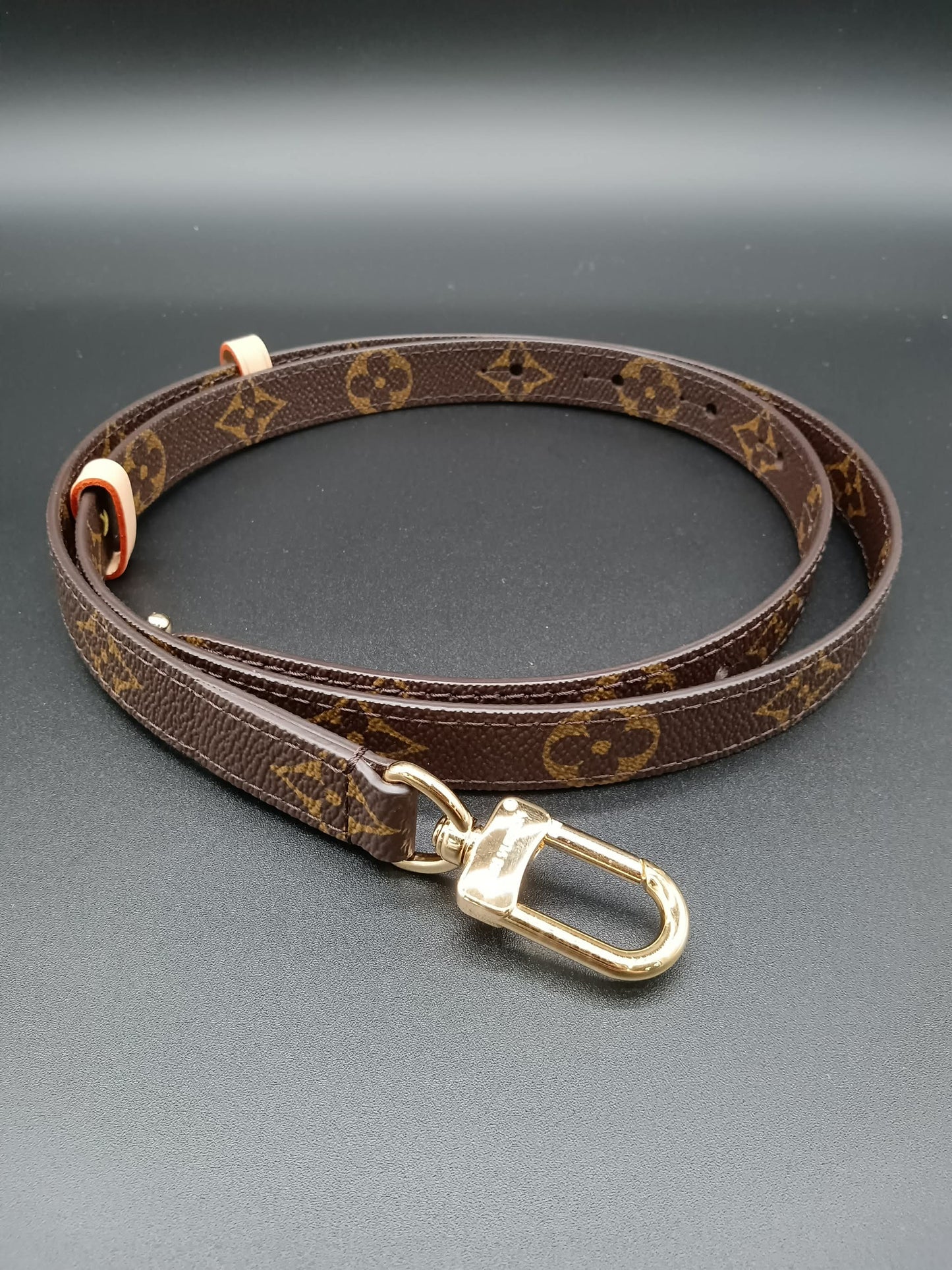 LOUIS VUITTON Monogram Strap