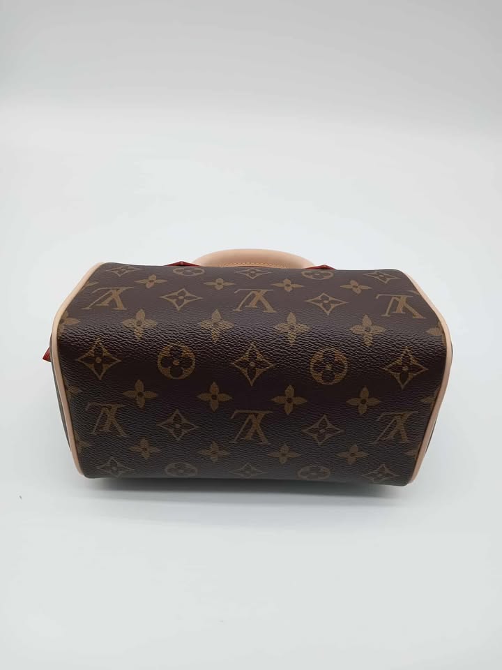 LOUIS VUITTON Monogram Bando 20