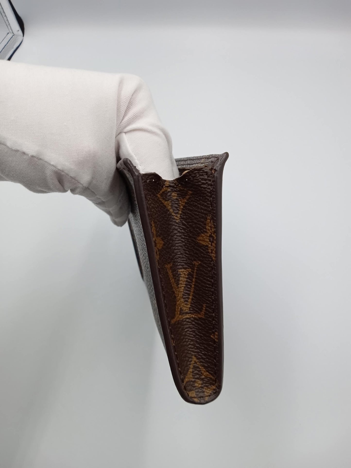 LOUIS VUITTON Monogram Pouch