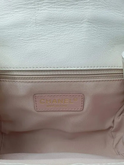 CHANEL Aged Calfskin Accordion Seasonal Flap