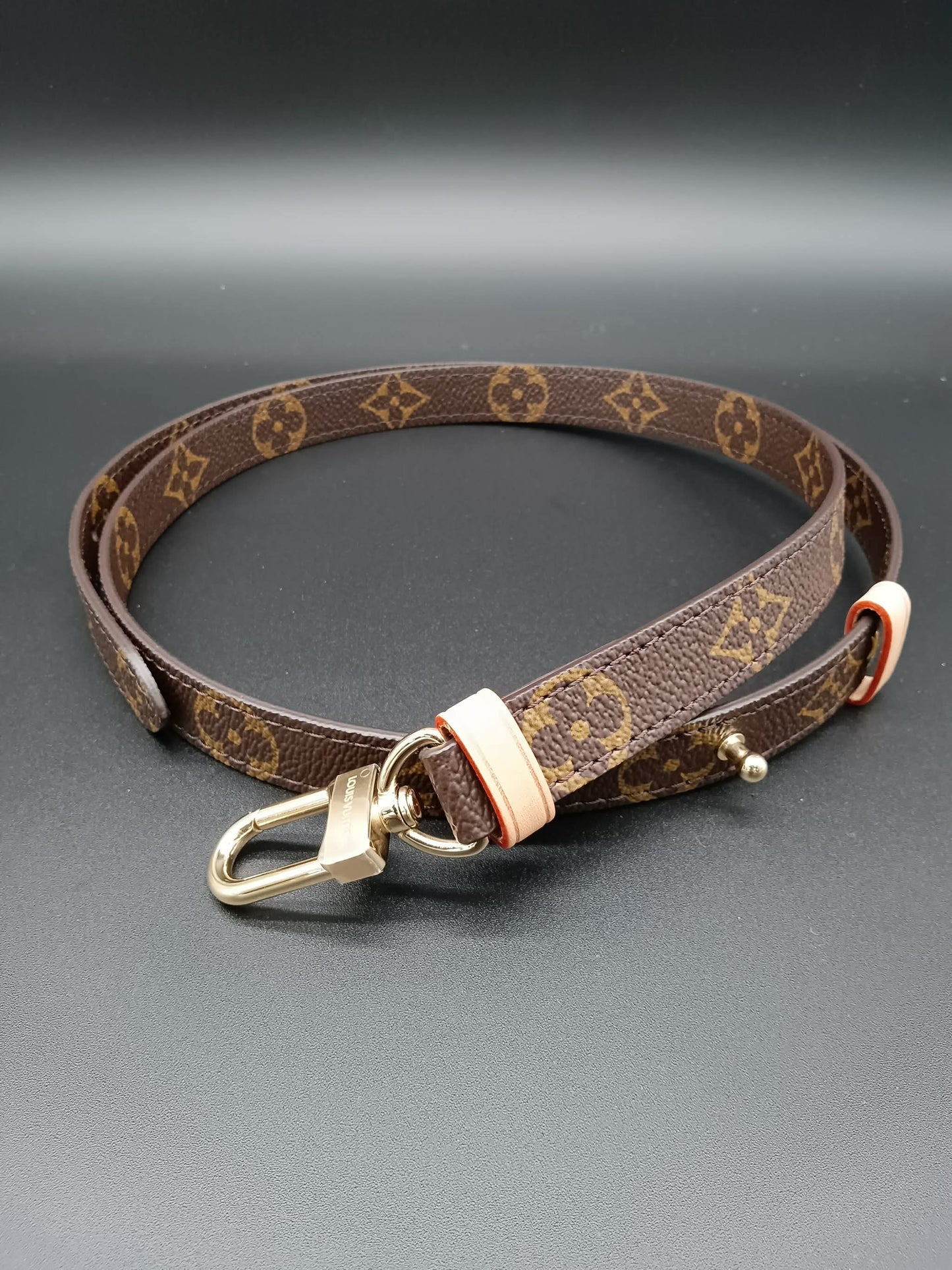 LOUIS VUITTON Monogram Strap