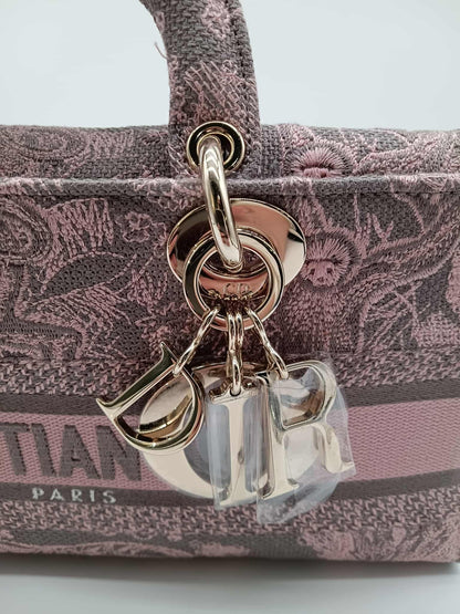 DIOR Canvas D-Joy