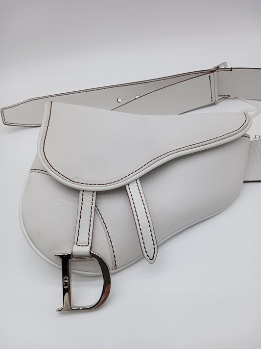 DIOR Saddle Waist Bag