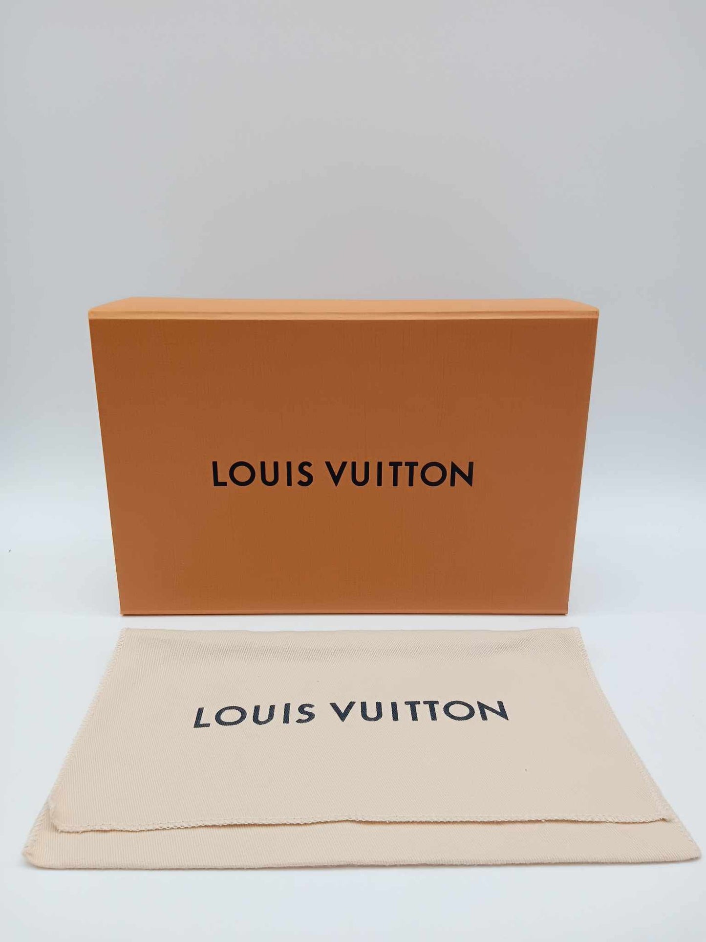 LOUIS VUITTON Mini Bum Bag