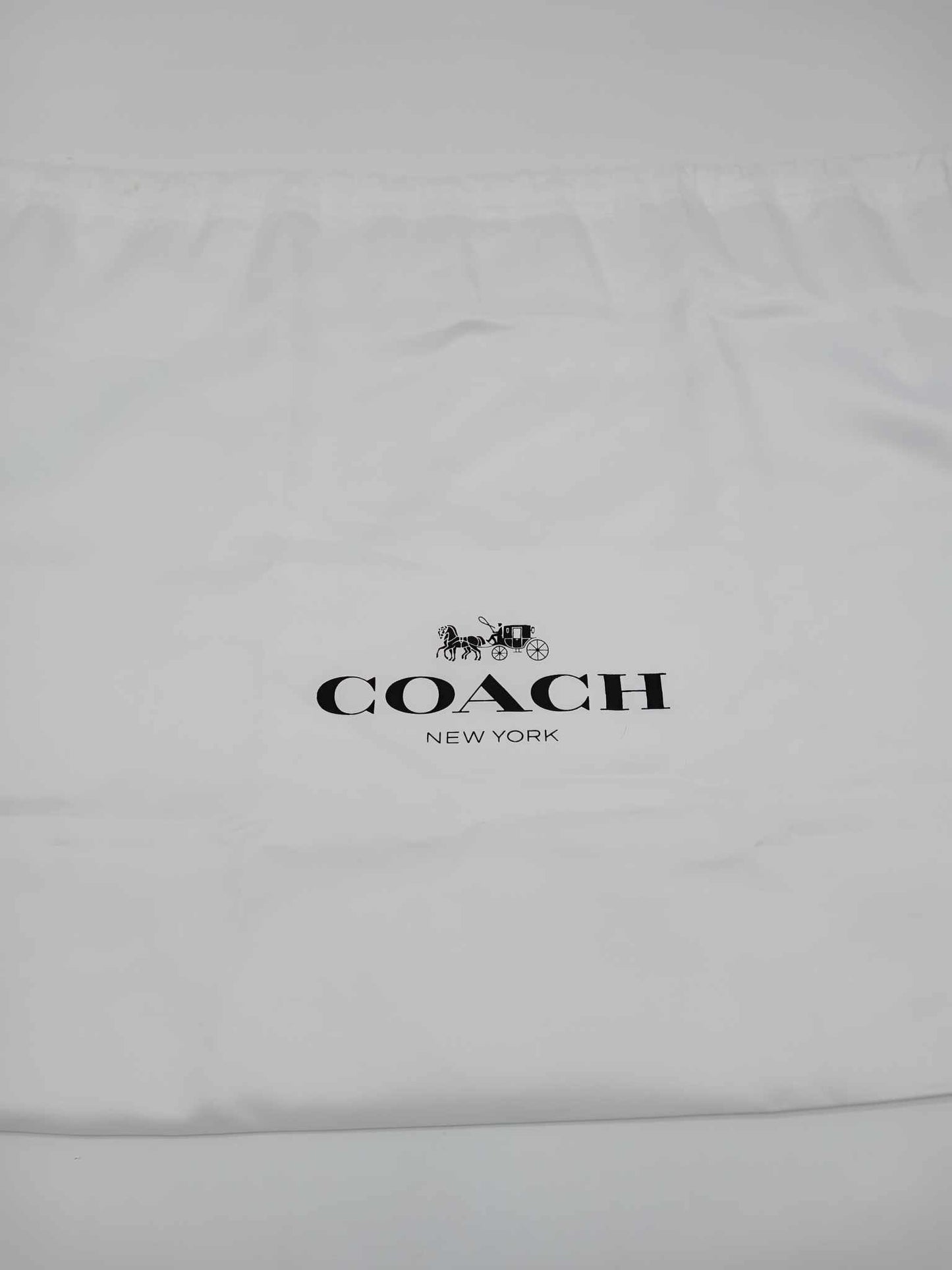 COACH Edie Shoulder Bag