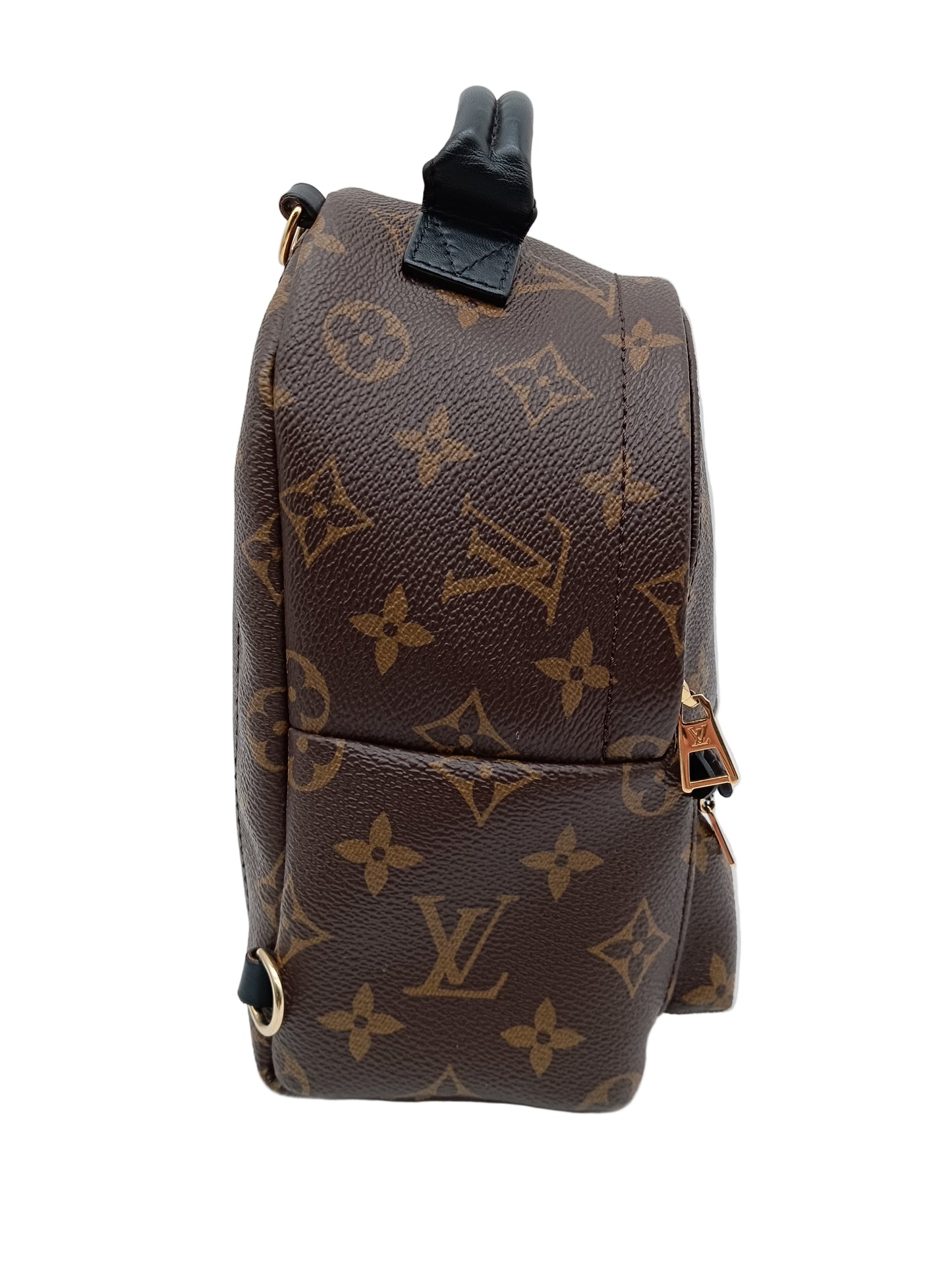 LOUIS VUITTON Monogram Mini Palm Springs