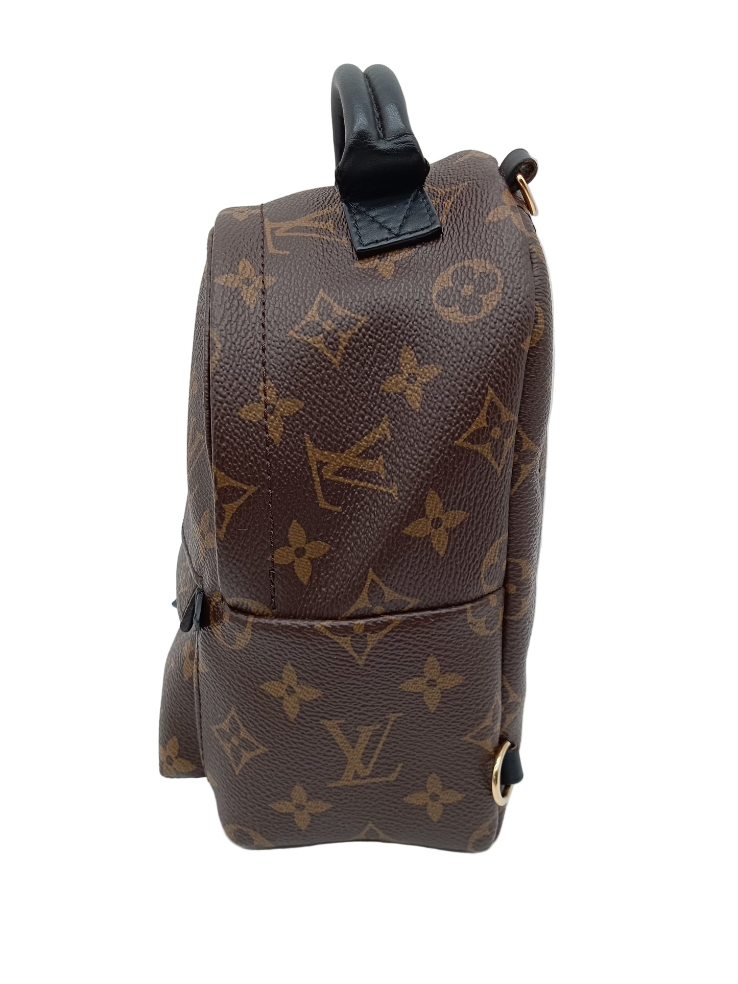 LOUIS VUITTON Monogram Mini Palm Springs
