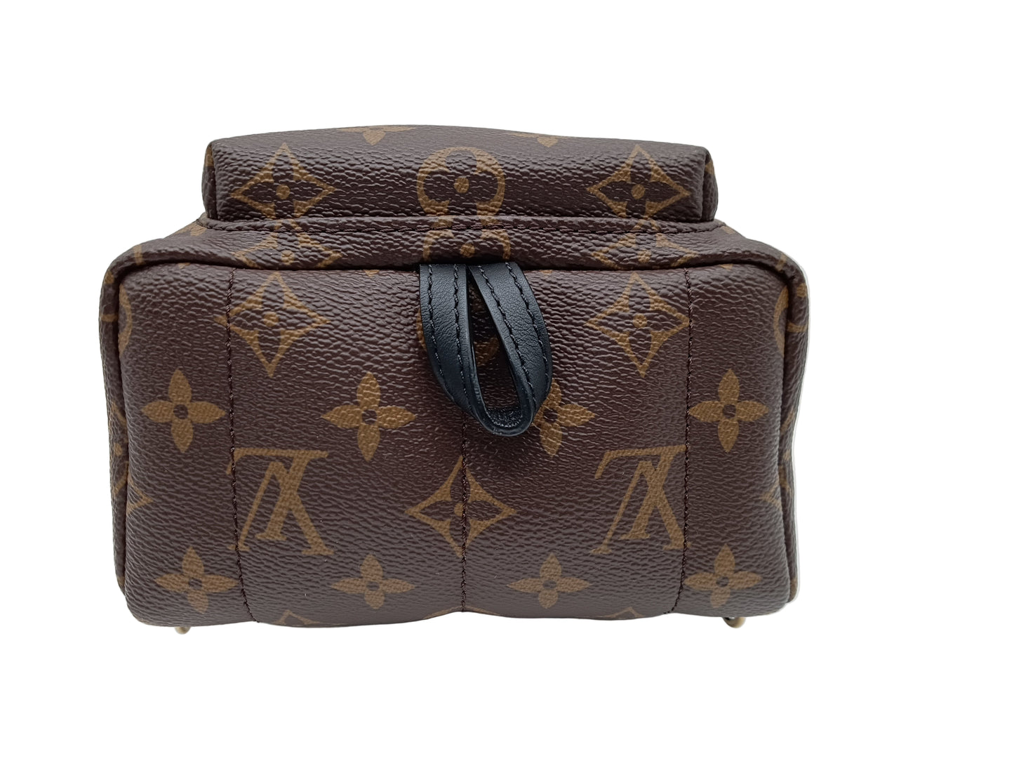 LOUIS VUITTON Monogram Mini Palm Springs