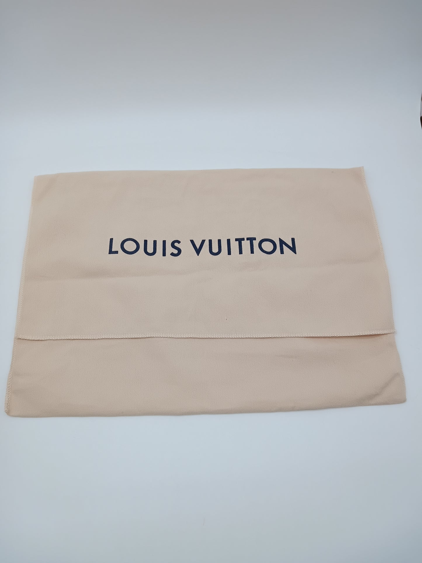 LOUIS VUITTON Monogram Dune OTG PM