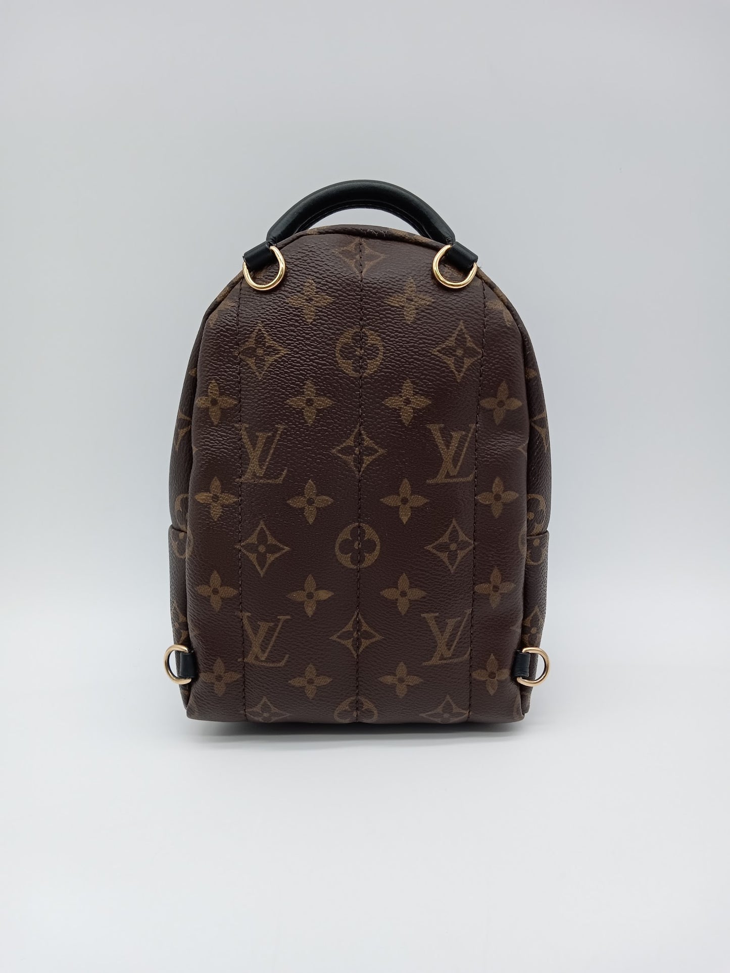 LOUIS VUITTON Monogram World Tour Palm Springs Mini
