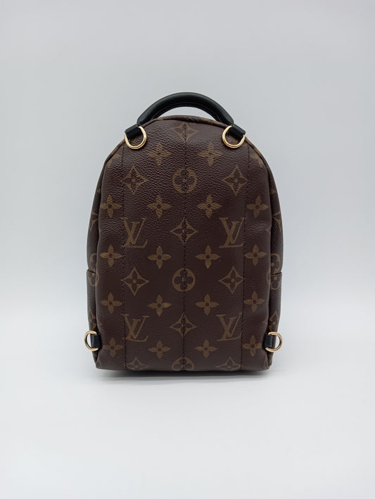 LOUIS VUITTON Monogram World Tour Palm Springs Mini