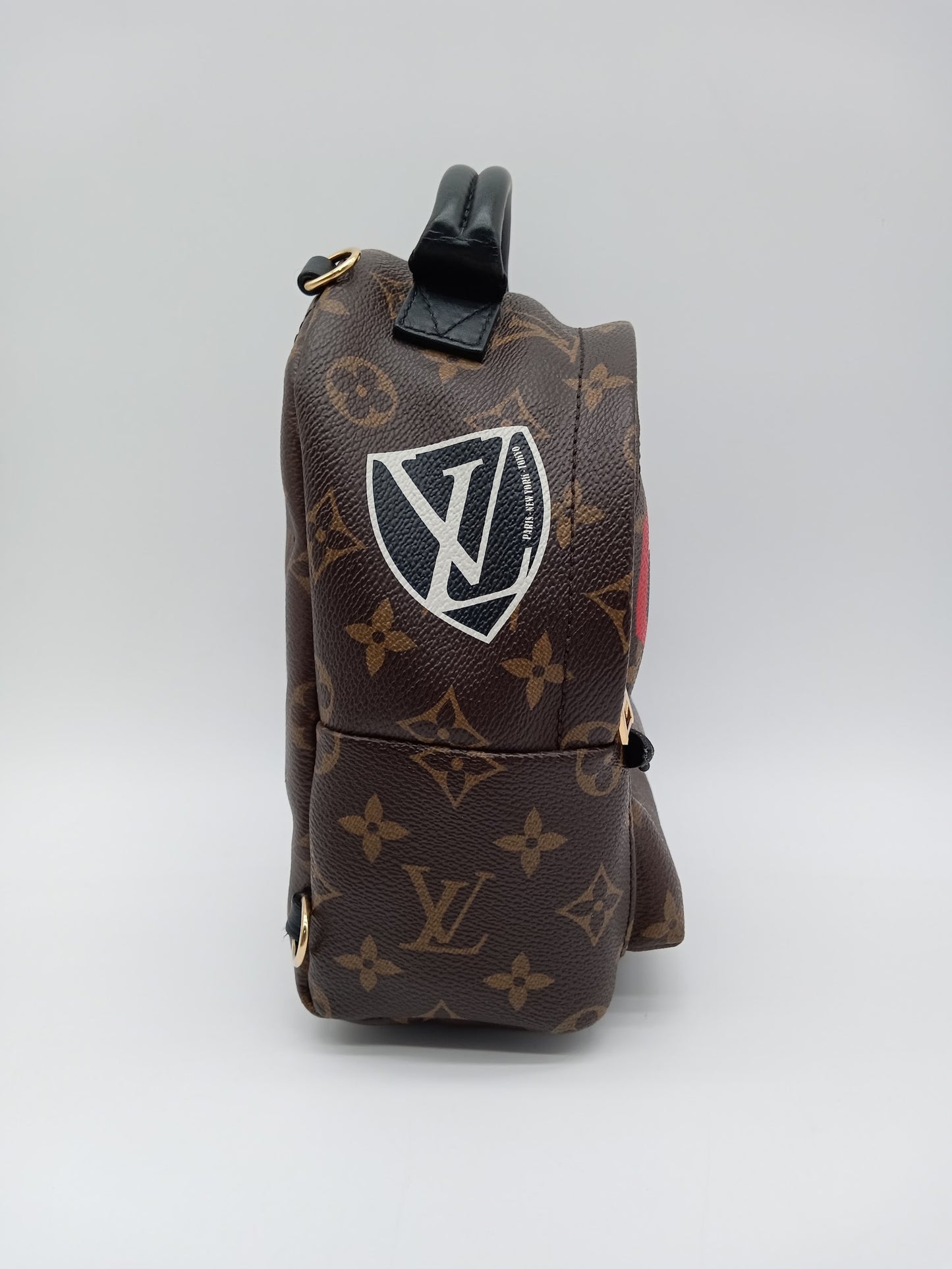 LOUIS VUITTON Monogram World Tour Palm Springs Mini