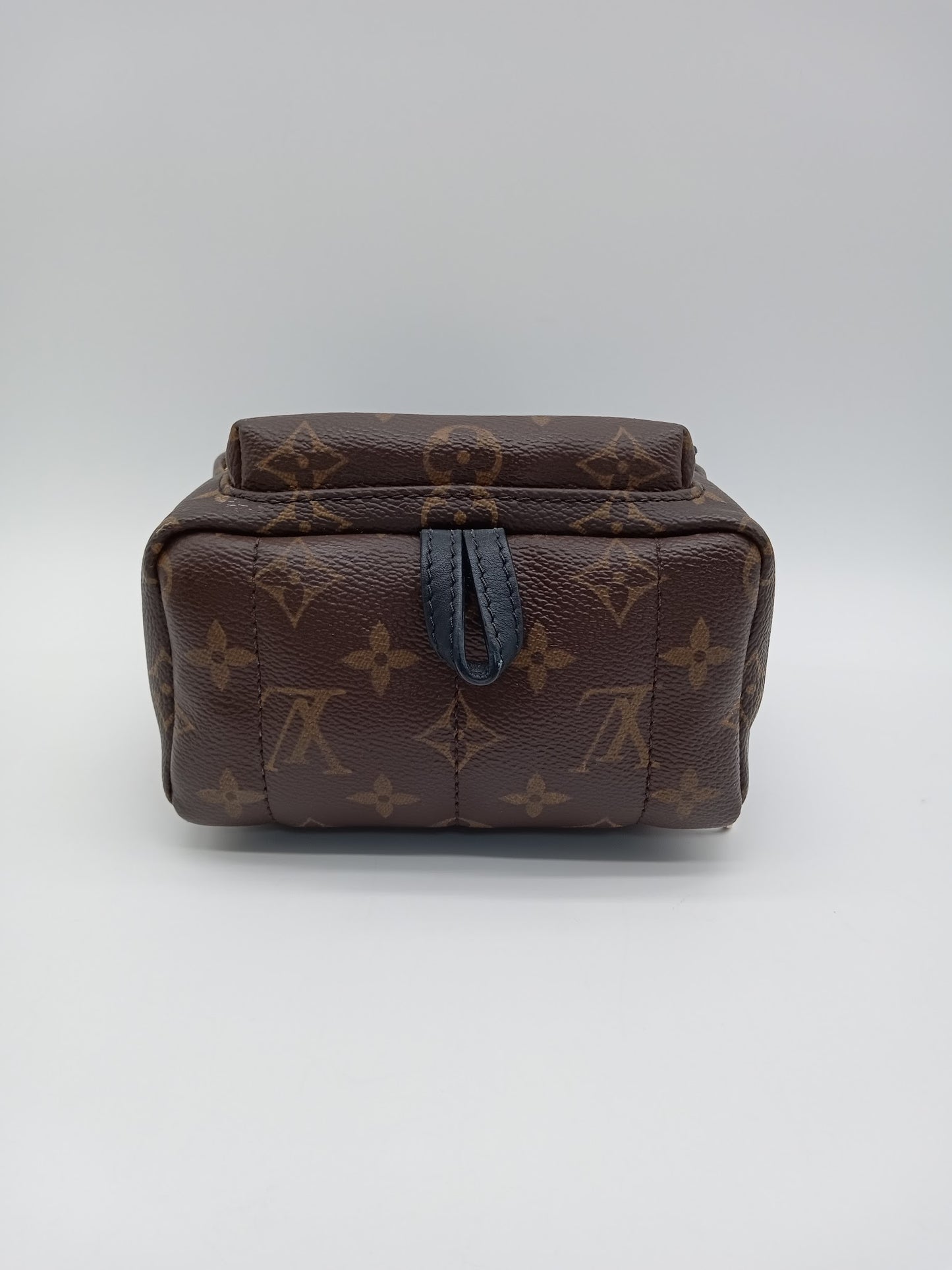 LOUIS VUITTON Monogram World Tour Palm Springs Mini
