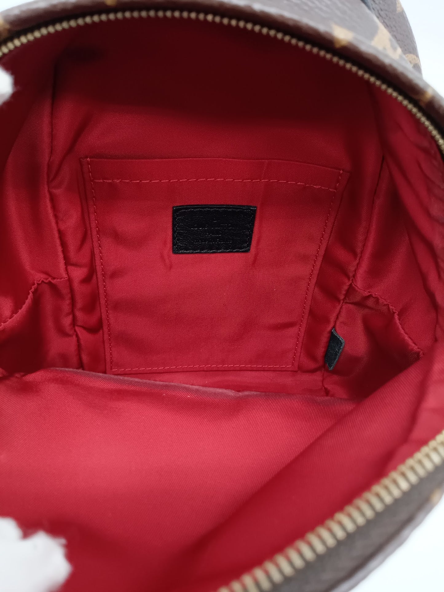 LOUIS VUITTON Monogram World Tour Palm Springs Mini