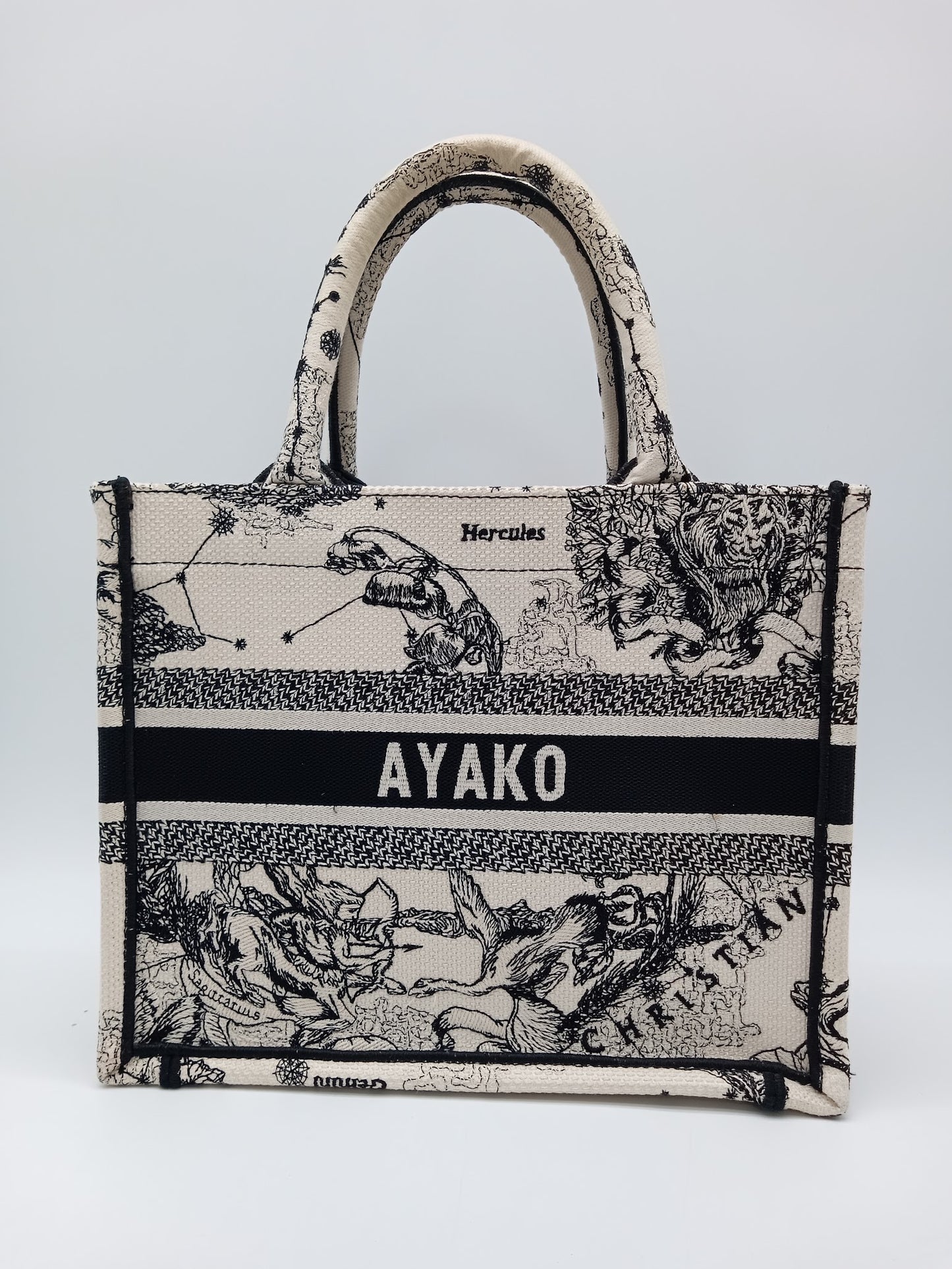 DIOR Zodiac Book Tote