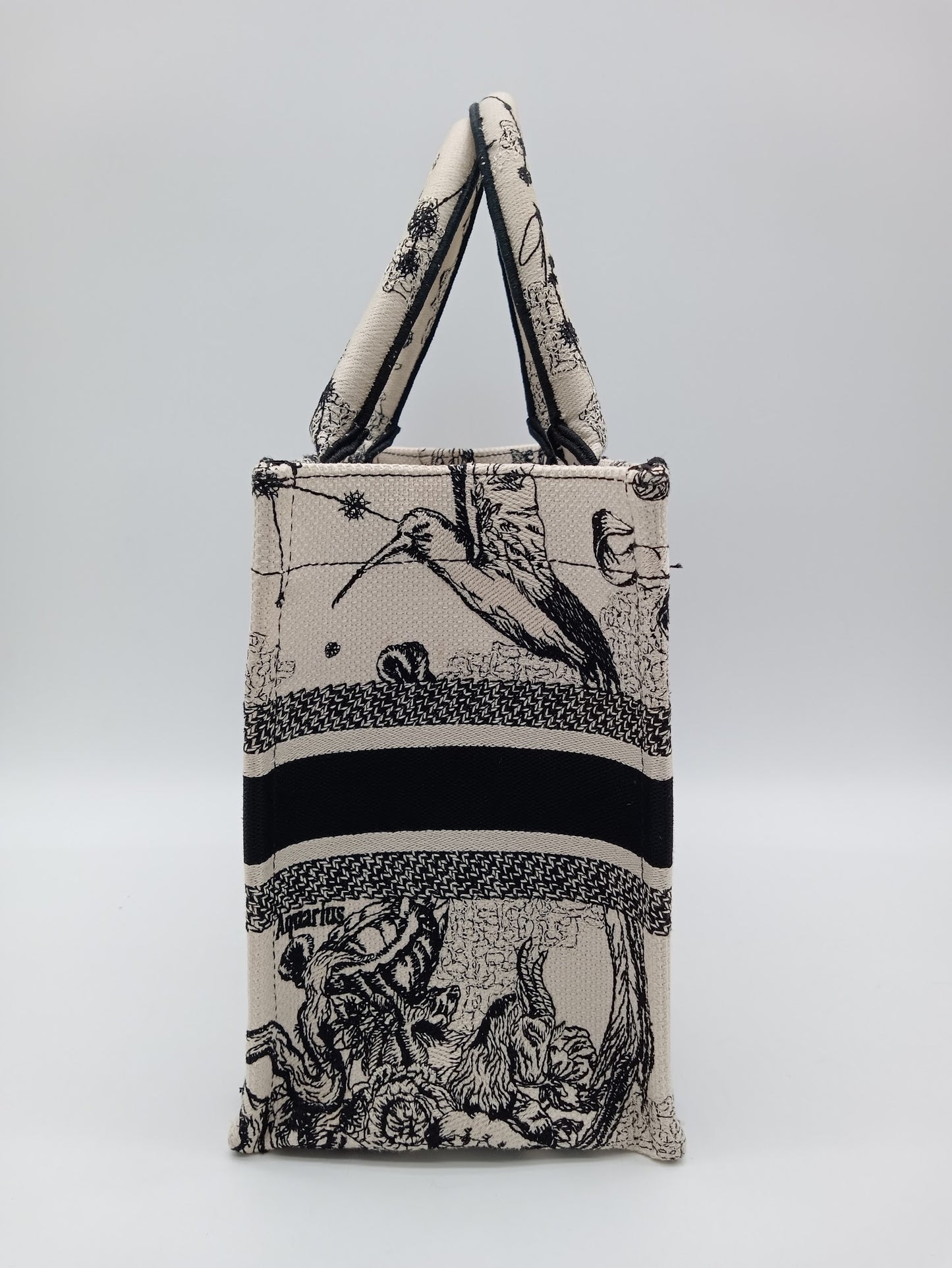 DIOR Zodiac Book Tote