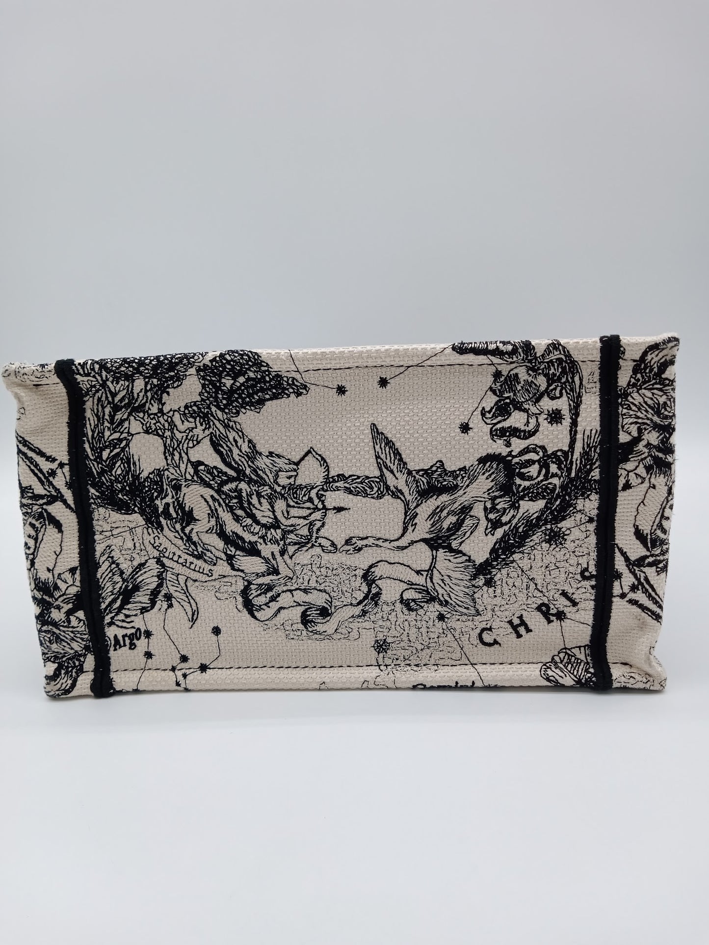 DIOR Zodiac Book Tote
