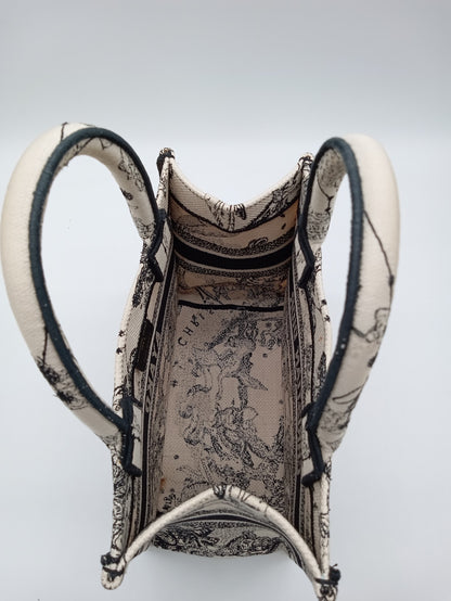 DIOR Zodiac Book Tote