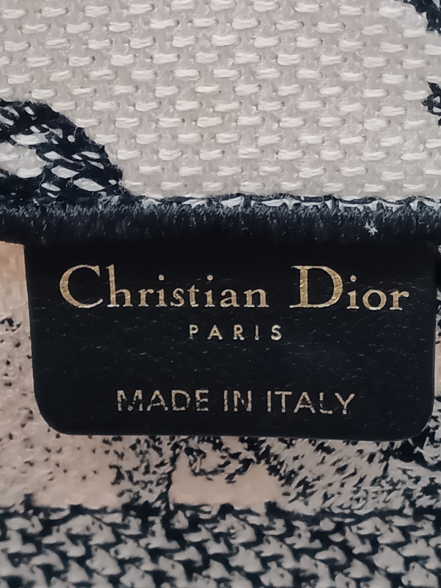 DIOR Zodiac Book Tote