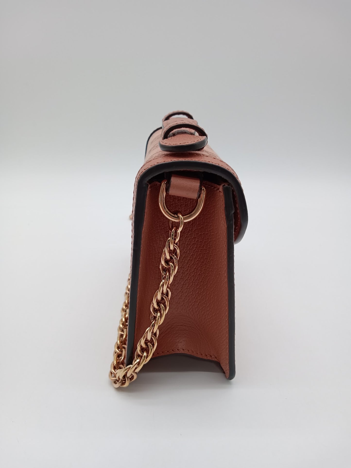 GUCCI Ophidia GG Mini