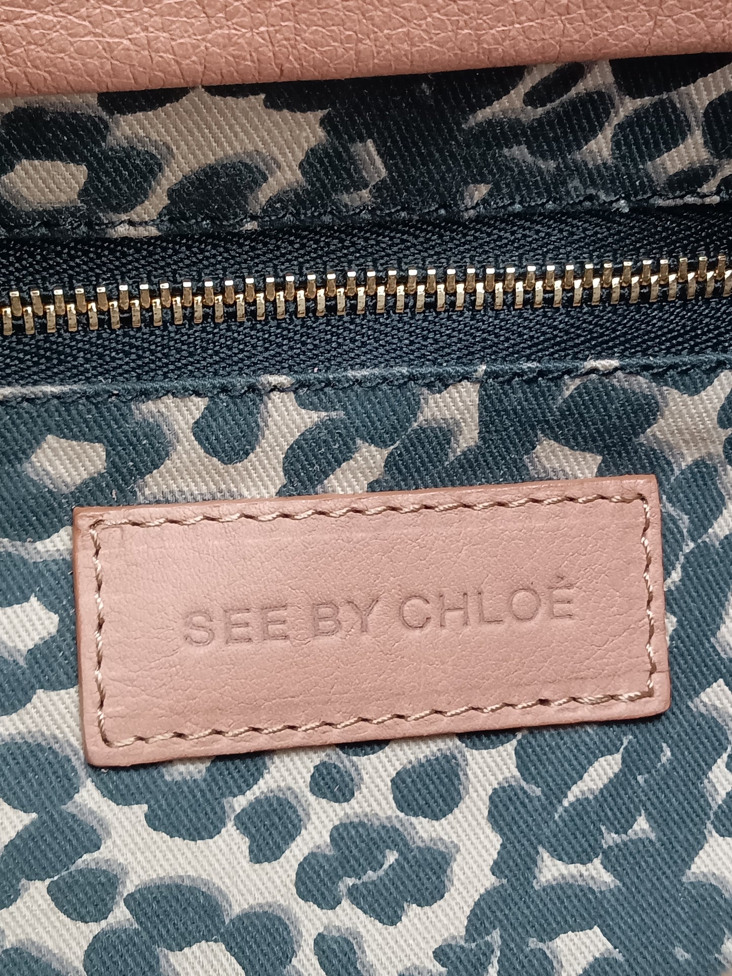 CHLOE Cherry Leather Bag