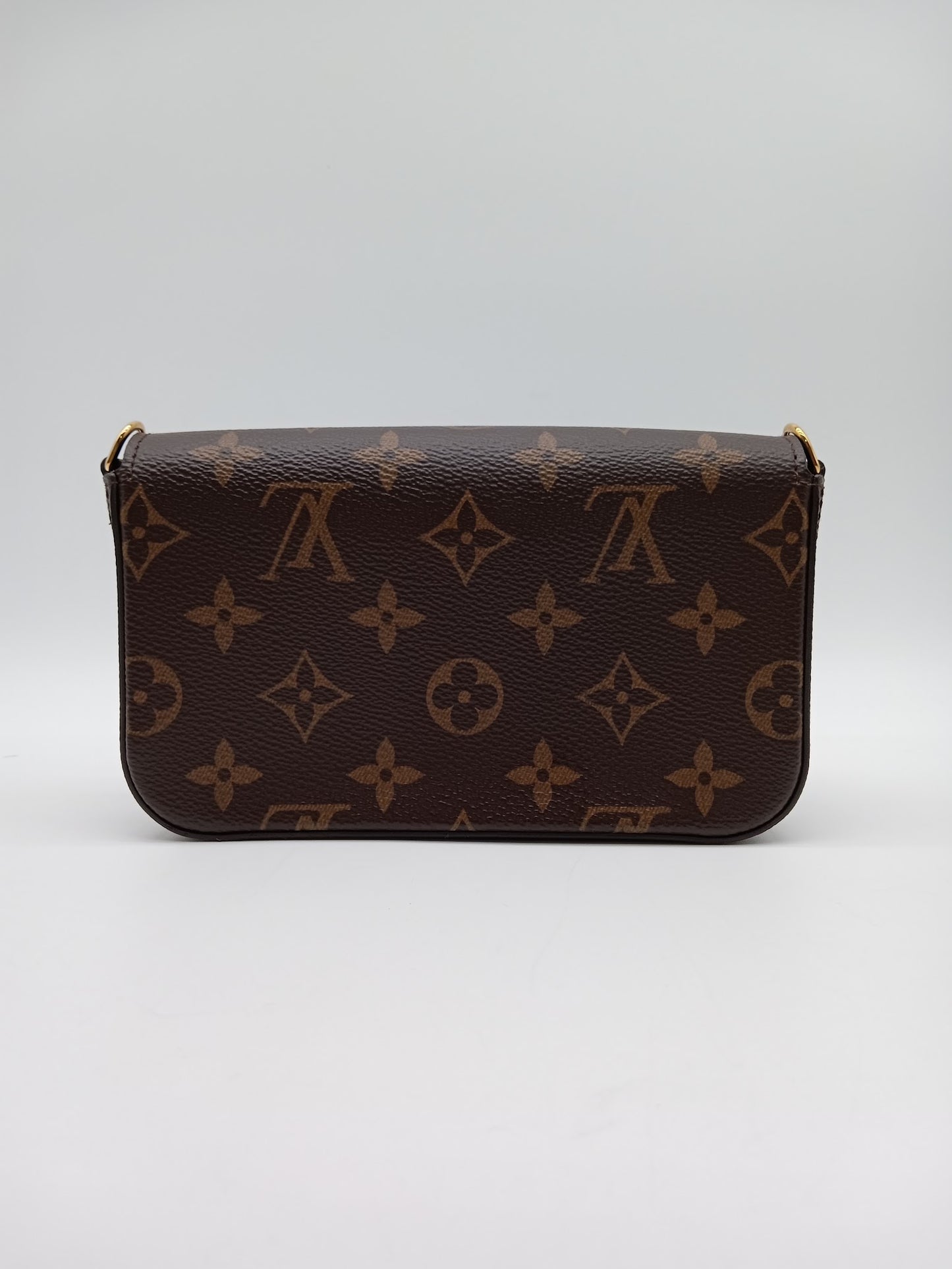 LOUIS VUITTON Monogram Felicie Strap and Go