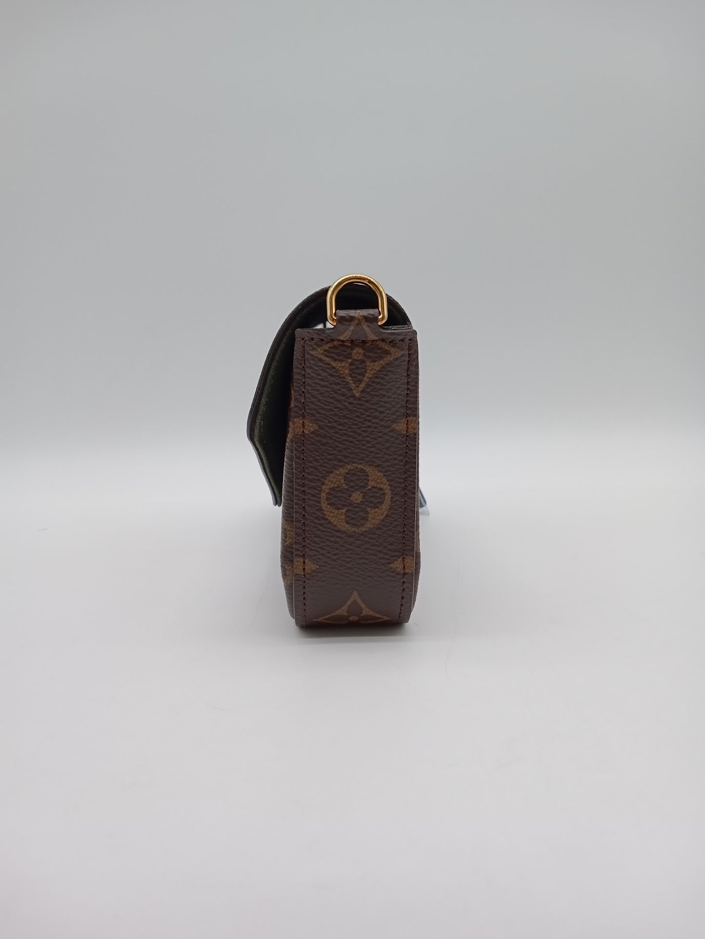 LOUIS VUITTON Monogram Felicie Strap and Go