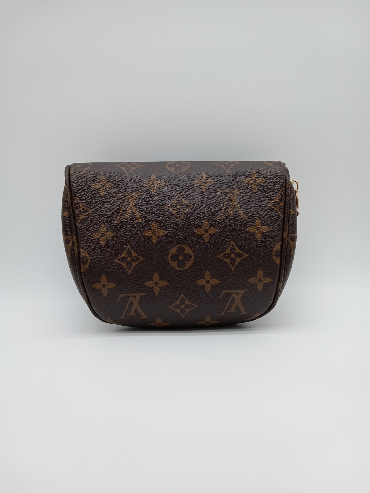 LOUIS VUITTON Monogram Mini Bumbag