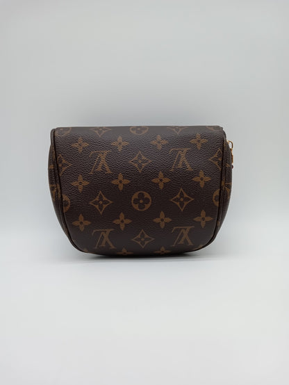 LOUIS VUITTON Monogram Mini Bumbag