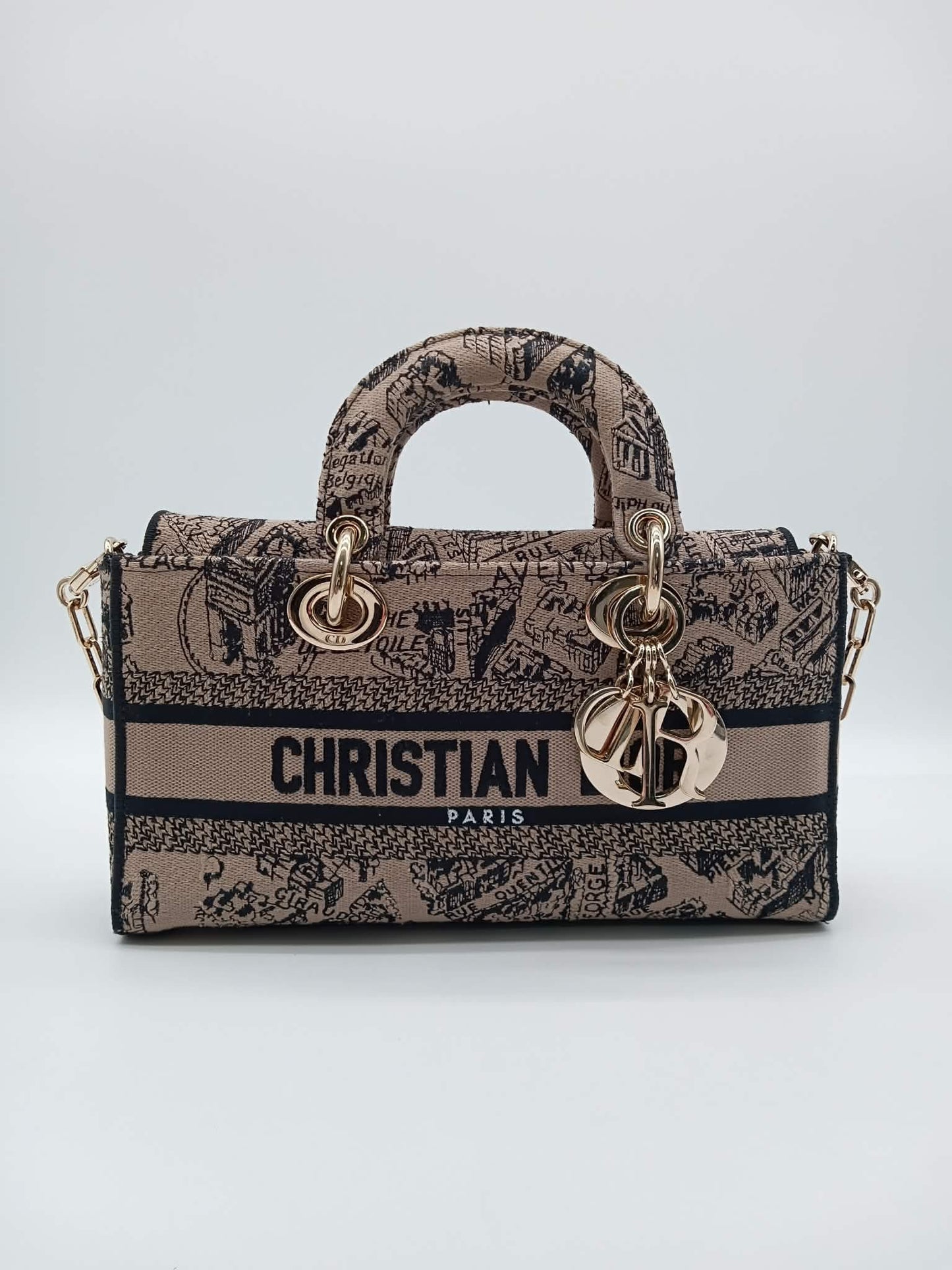 DIOR Lady D-Joy Plan De Paris