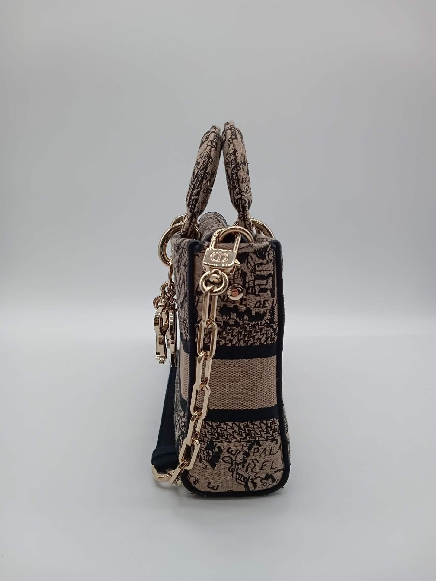 DIOR Lady D-Joy Plan De Paris