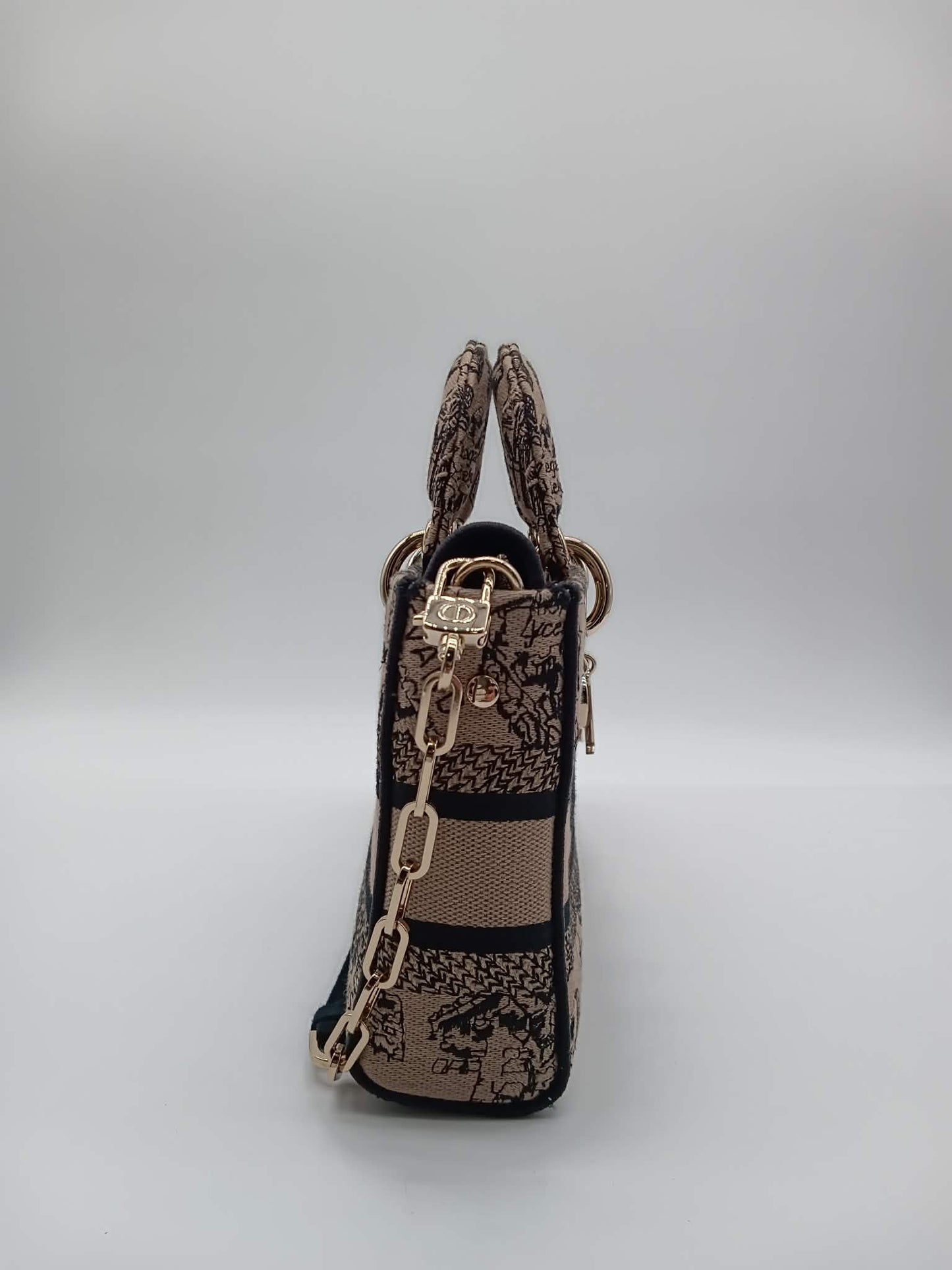 DIOR Lady D-Joy Plan De Paris