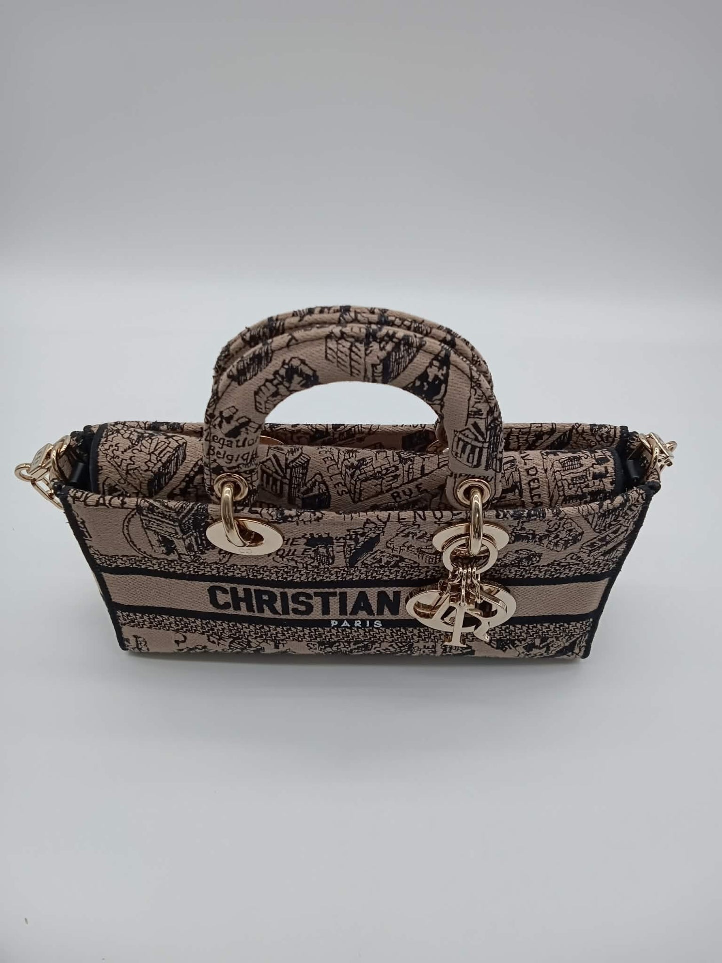DIOR Lady D-Joy Plan De Paris