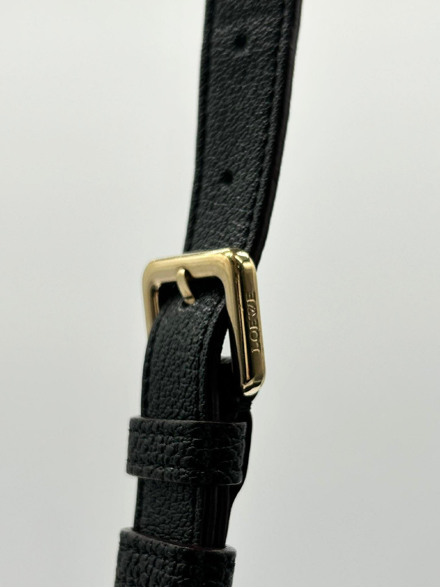 LOEWE Paseo Anagram Mini Boston