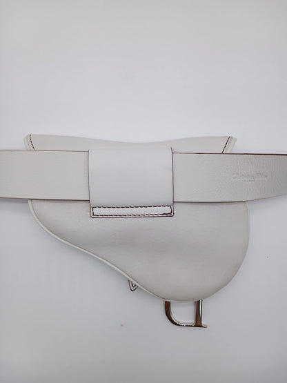 DIOR Saddle Waist Bag