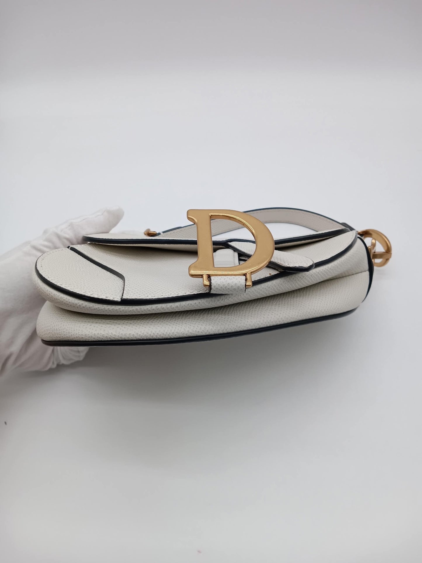DIOR Mini Saddle Bag