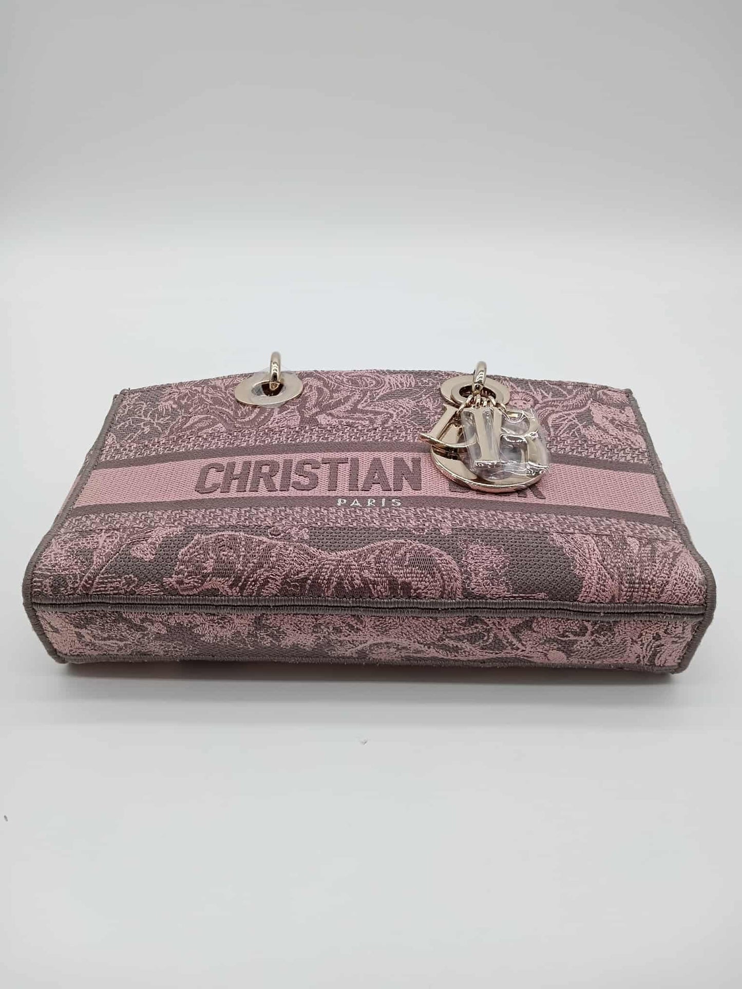 DIOR Canvas D-Joy
