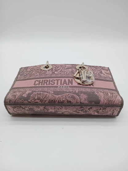 DIOR Canvas D-Joy