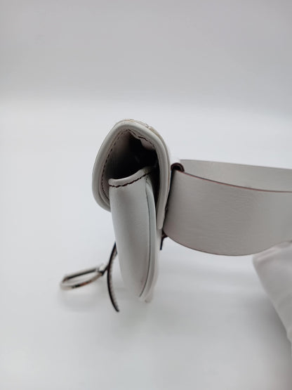 DIOR Saddle Waist Bag